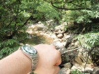 심심해서...올려봅니다. - Rolex - TIMEFORUM