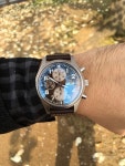 벛꽃이 한창이던날 3717 생쥐 - IWC - TIMEFORUM