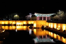 소중한사람들과 함께한 여행...그리고 팜 - Panerai - TIMEFORUM