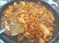 [스캔데이] 비가 - Panerai - TIMEFORUM