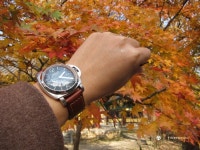 영구의 맛집여행 ^^ : ....23탄 (대전 : 행복조개, 전주 : 옴시롱 감시롱) - Panerai - TIMEFORUM