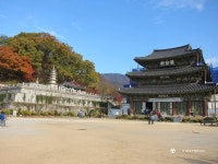 영구의 맛집여행 ^^ : ....23탄 (대전 : 행복조개, 전주 : 옴시롱 감시롱) - Panerai - TIMEFORUM