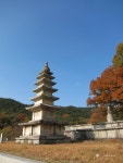 영구의 맛집여행 ^^ : ....23탄 (대전 : 행복조개, 전주 : 옴시롱 감시롱) - Panerai - TIMEFORUM