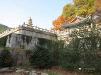 영구의 맛집여행 ^^ : ....23탄 (대전 : 행복조개, 전주 : 옴시롱 감시롱) - Panerai - TIMEFORUM