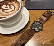 [스캔데이] 이어지는 캘리포니아 그린, PAM1349 - Panerai - TIMEFORUM