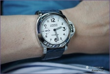 113+ 비버테일 - Panerai - TIMEFORUM