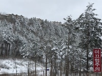 [스캔데이+1]태백에서 632 - Panerai - TIMEFORUM