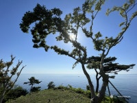 맑은 주말, 1024와의 여행 :) - Panerai - TIMEFORUM