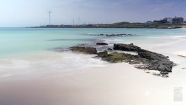 제주 월정리에서~ - Panerai - TIMEFORUM