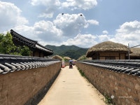 하회마을에서 662 - Panerai - TIMEFORUM