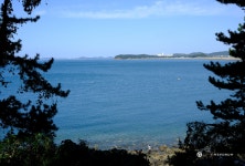 [스캔데이] 기분 좋은 산책 (상화원에서 911) - Panerai - TIMEFORUM