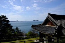 [스캔데이] 기분 좋은 산책 (상화원에서 911) - Panerai - TIMEFORUM