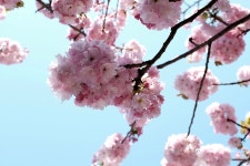 634와 함께 한 도쿄 방문기.. - Panerai - TIMEFORUM