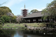 634와 함께 한 도쿄 방문기.. - Panerai - TIMEFORUM