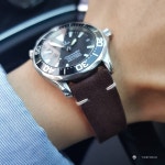씨마스터2254 가을을 맞아서 줄질 좀 했습니다^^ - Omega - TIMEFORUM