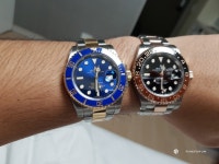 청콤 & GMT 루트비어 - Rolex - TIMEFORUM