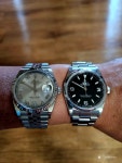 반려 시계^^ - Rolex - TIMEFORUM