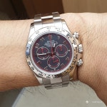 116509와 116618 - Rolex - TIMEFORUM