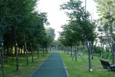 가을이로군요,,,즐거운 추석연휴 첫날입니다 ^^ - Rolex - TIMEFORUM