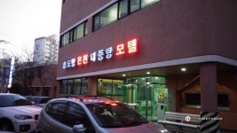 짧은 부산여행 - Rolex - TIMEFORUM