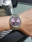 오이스터 116000 입당합니다. - Rolex - TIMEFORUM