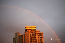 무지개.. - Rolex - TIMEFORUM