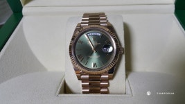 dd40 올리브그린 영입! 했습니다. - Rolex - TIMEFORUM