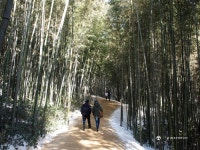 GMT와 함께한 담양여행... - Rolex - TIMEFORUM