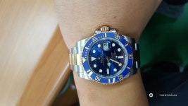 오이스터 퍼페츄얼( 116000 ) red grape .. ㅜㅜ - Rolex - TIMEFORUM