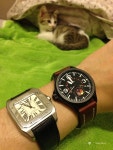 스캔데이 856S SG - German Brand - TIMEFORUM