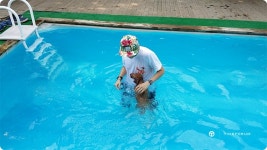 애견 펜션 다녀왔어요! - German Brand - TIMEFORUM