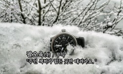 856의 푸념 - German Brand - TIMEFORUM