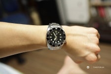 16.5mm의 스모 - Japan Brand - TIMEFORUM