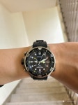 시티즌 프로마스터 - Japan Brand - TIMEFORUM
