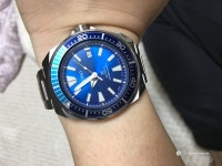 SRPB09로 입당합니다. - Japan Brand - TIMEFORUM