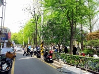 정공사 - 스모 - Japan Brand - TIMEFORUM