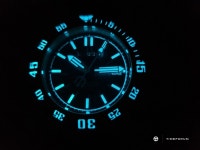 ☆ 득템 - NEMINUS MASTER DIVER 1000 ☆ - Vintage/ETC - TIMEFORUM
