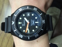 Squale 1521 pvd 득템 신고!!! - Vintage/ETC - TIMEFORUM