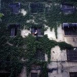 [힐링포토] No.08 - 자유게시판 - TIMEFORUM