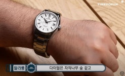 [주관적인 타포 유튜브 후기]그랜드세이코 SLGH005(Grand Seiko SLGH005) - 자유게시판 - TIMEFORUM