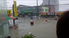 오늘아침 창원시 진해구 용원입니다 - 자유게시판 - TIMEFORUM