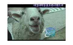 대경대학교 | DK Daekyeung University
