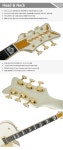 그레치 화이트팔콘 G6136-55 Vintage Select Edition 55 Falcon™ with Cadillac Tailpiece | 중고악기 뮬