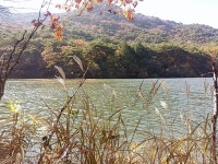 부산테마여행사