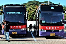 부산테마여행사