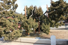 부산테마여행사