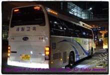 부산테마여행사