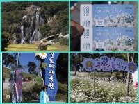 부산테마여행사