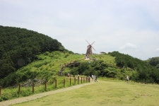 부산테마여행사