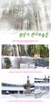부산테마여행사